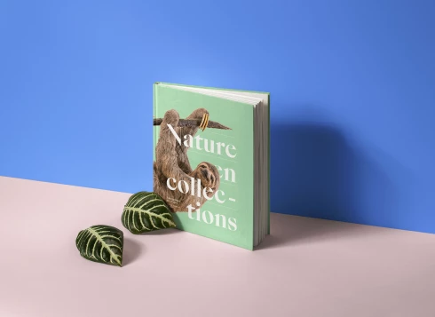 Nature en collections